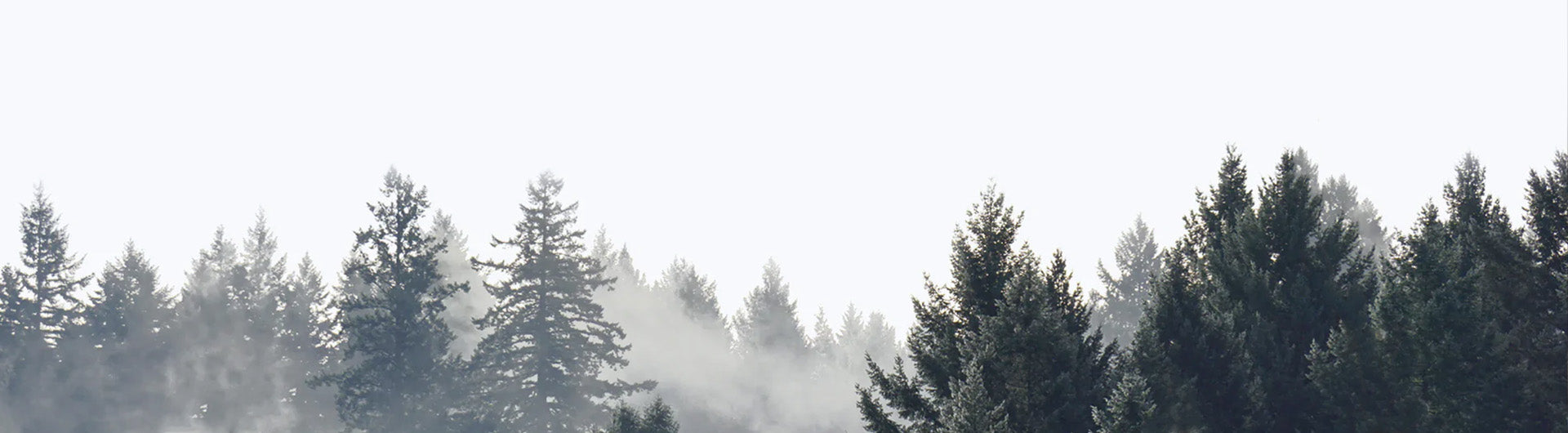 Climb Winter
